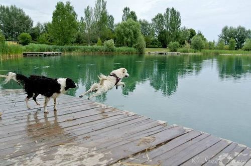 Ai Due Laghi Casa di campagna Gambulaga